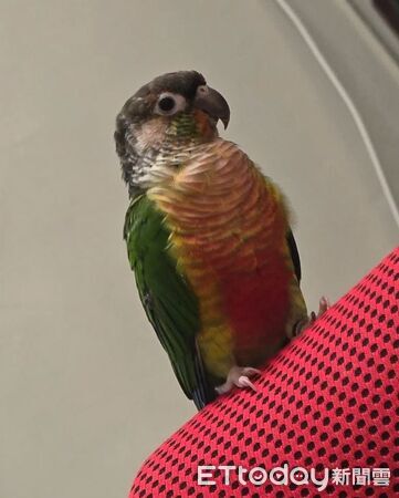 ▲。（圖／Threads@wsijcmc提供，請勿隨意翻拍，以免侵權。）