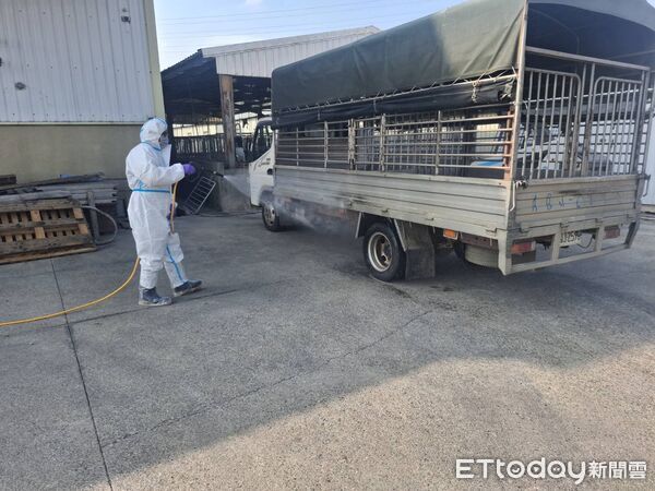 ▲動保處訪查該養豬戶豬隻健康情形。（圖／記者林東良翻攝）