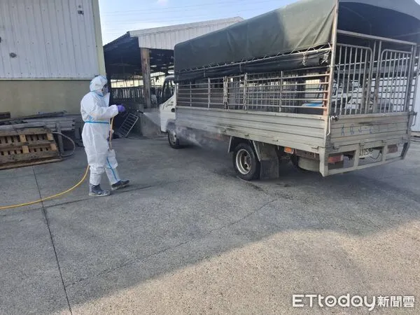 ▲動保處訪查該養豬戶豬隻健康情形。（圖／記者林東良翻攝）