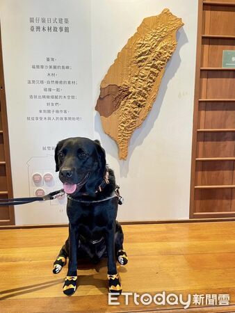 帶導盲犬小白黑黑去台灣木材故事館遭拒。（圖／飼主連惠蘭提供）