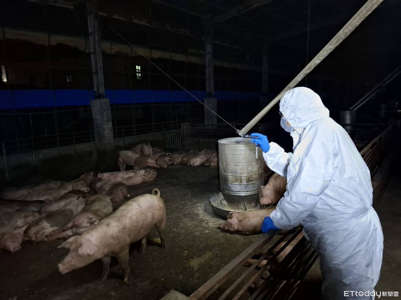 快訊/豬瘟場王姓獸醫竟無照疑誤診 台中農業局發文檢方調查