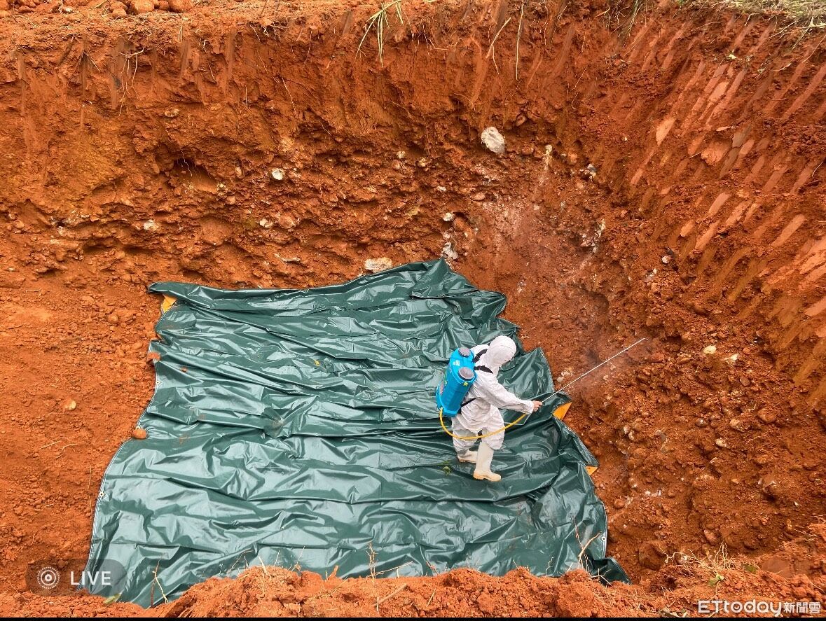 台中防疫升級「死1隻就驗」　 盧秀燕：盼鎖在案場儘快清零解封