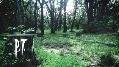 《P.T.》恐怖氛圍被當教材 日本英文老師激勵學生勇敢說出來