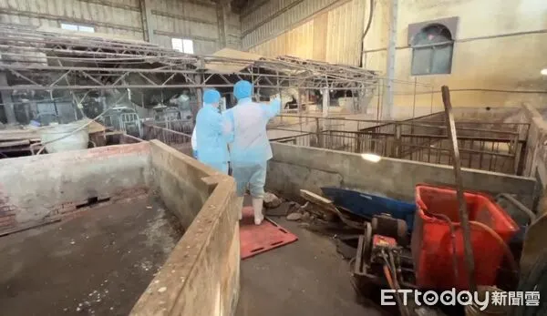 ▲非洲豬瘟,養豬場。（圖／民眾提供）