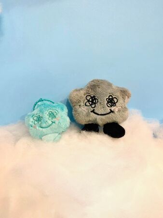 ▲▼  Jisoo周邊。（圖／寬寬提供）