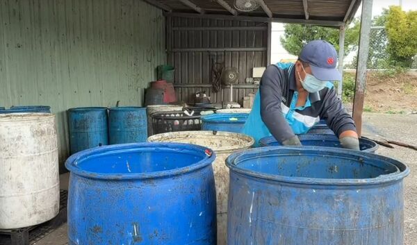 ▲和美鎮清潔隊黑水虻大軍月吞300噸廚餘。（圖／記者唐詠絮攝）