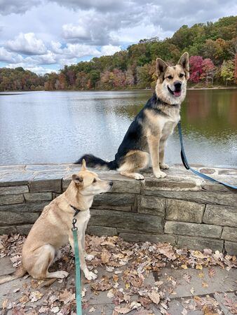 ▲。（圖／翻攝自X／@MD41687242）