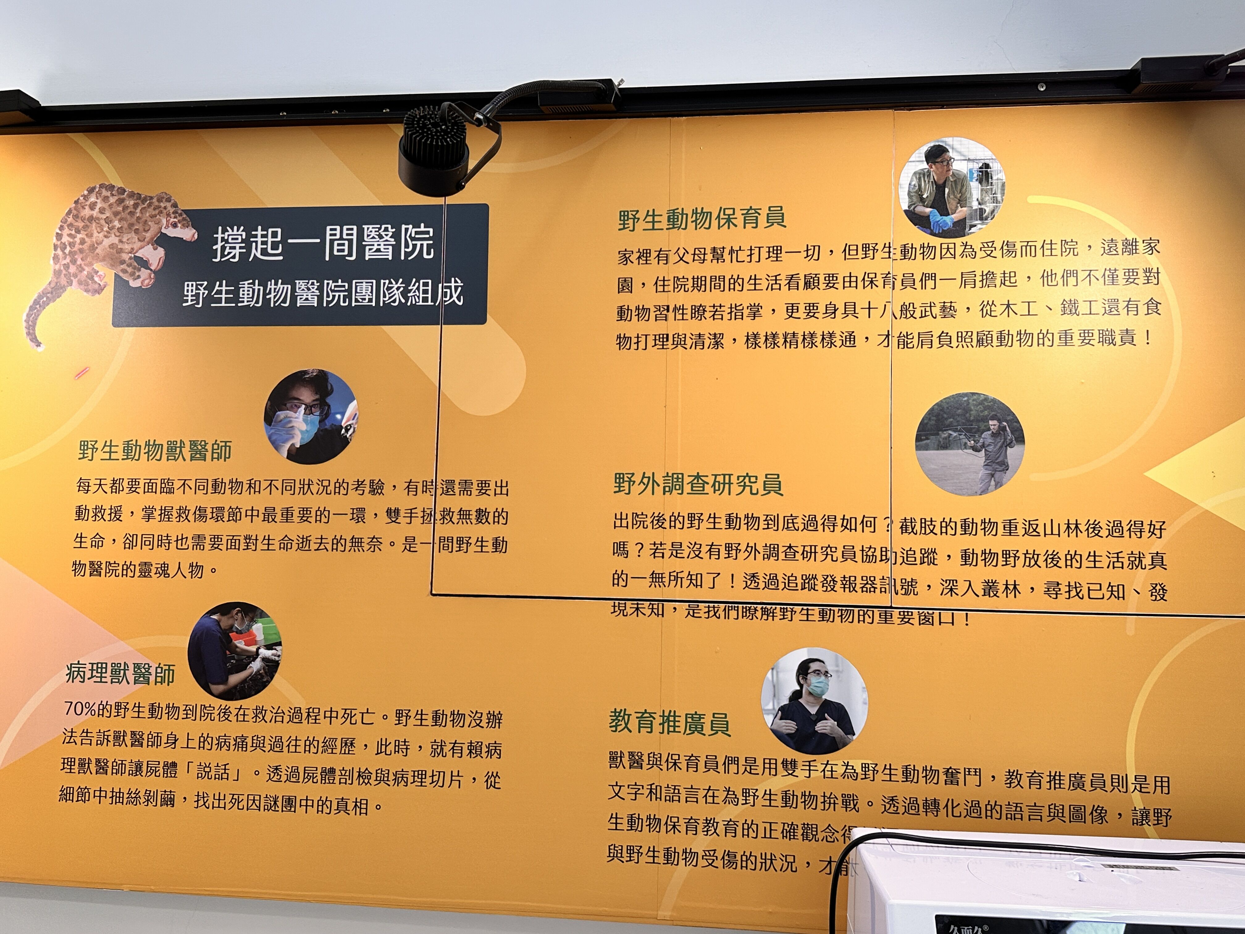 ▲▼「野灣野生動物保育協會」是東部唯一的野生動物救傷單位。（圖／記者林育綾攝）