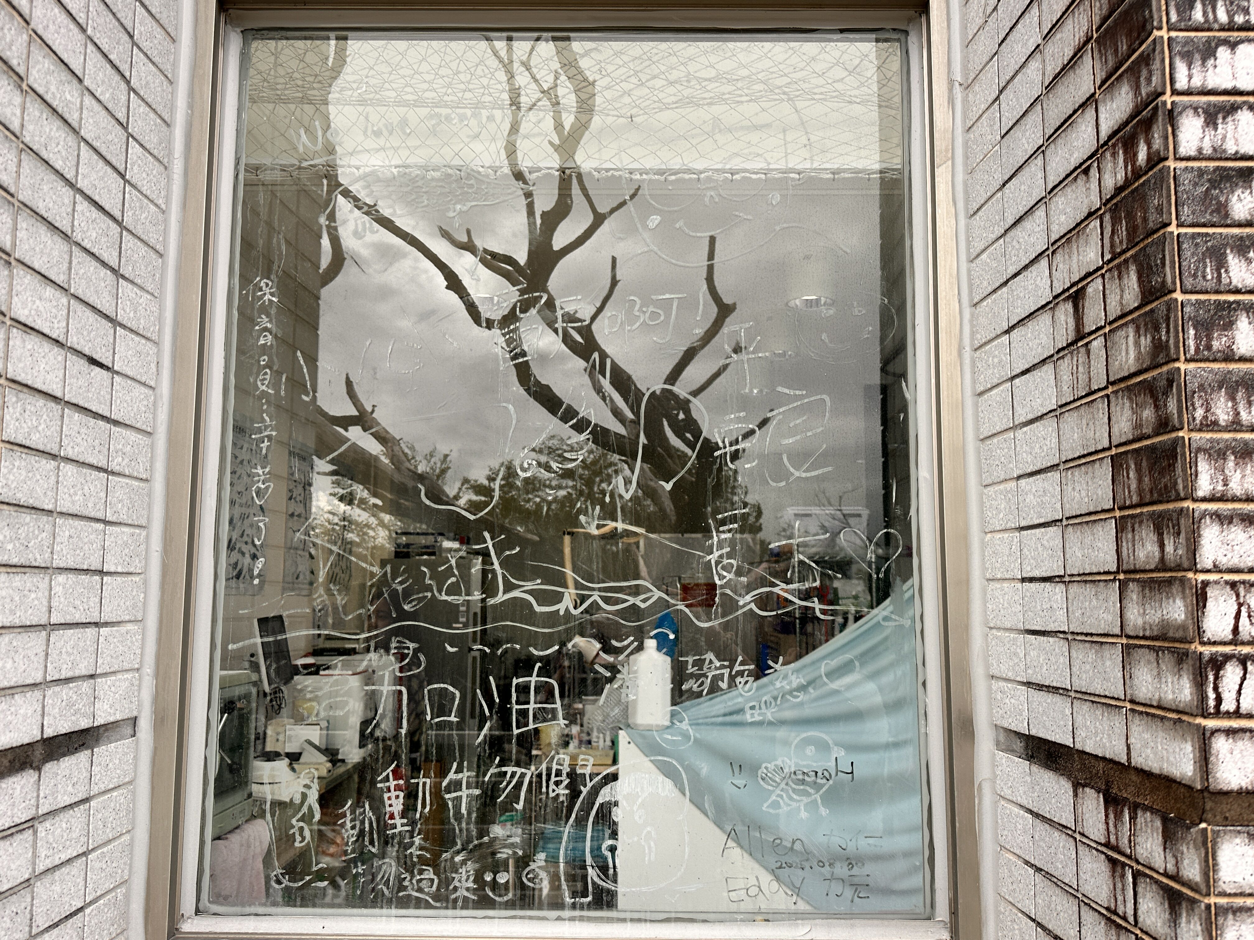 ▲▼「野灣野生動物保育協會」是東部唯一的野生動物救傷單位。（圖／記者林育綾攝）