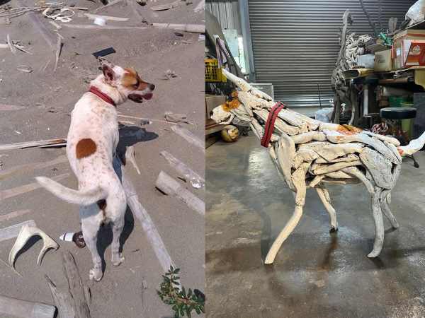 ▲愛犬陪伴14年撿漂流木創作　他把回憶做成雕像：戴上項圈像你還在。（圖／網友梁仁川提供，請勿隨意翻拍，以免侵權。）