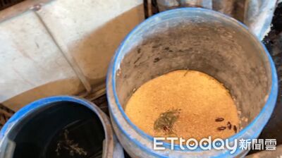 老豬農用廚餘舊照上傳 稽查員只打電話…中市府:會內部查察