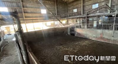 快訊／豬瘟疑雲！中市府深夜回應中央6質疑「9月未獲異常警示」