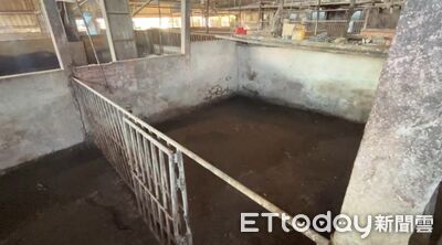 非洲豬瘟死亡豬隻化製單疑塗改！台中地檢署調查中