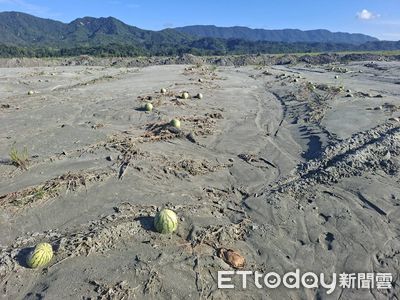 花蓮鳳林西瓜、南瓜、竹筍納災害救助　受理至11 ／10