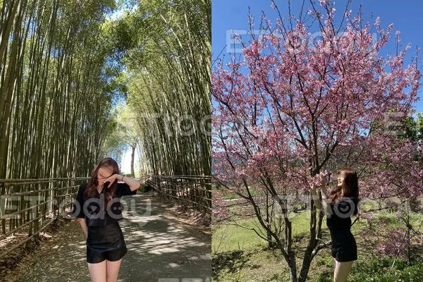 ▲台北市信義區豪宅雙屍命案，曾姓死者生前喜愛旅遊，與前男友在全台多處景點拍下美照。（圖／富商前男友授權提供，下同）