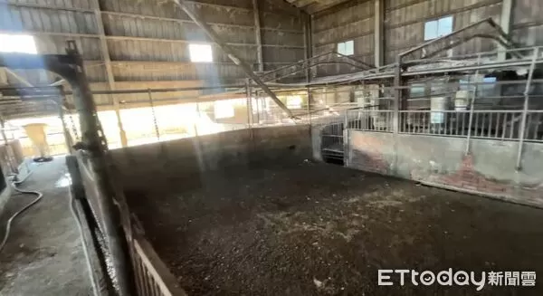 ▲非洲豬瘟養豬場。（圖／記者游瓊華翻攝）