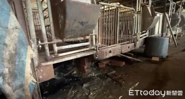 ▲非洲豬瘟養豬場。（圖／記者游瓊華翻攝）