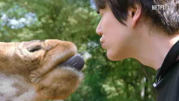 ▲▼太衝擊！圭賢舌吻長頸鹿「親完還牽絲」　韓網笑瘋：最暴力的預告片。（圖／翻攝自Netflix YouTube）