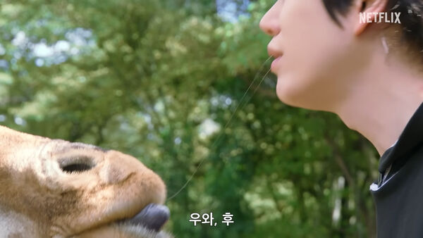 ▲▼太衝擊！圭賢舌吻長頸鹿「親完還牽絲」　韓網笑瘋：最暴力的預告片。（圖／翻攝自Netflix YouTube）