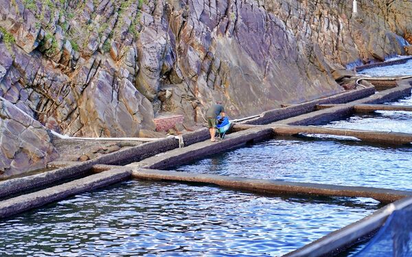 ▲▼新北貢寮東北角美食推薦「92k週末食堂」！季節限定絕美海景餐廳，一周只營業4天。（圖／部落客Mika提供）