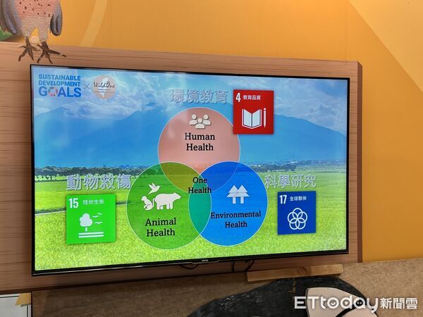 ▲▼「野灣野生動物保育協會」是東部唯一的野生動物救傷單位。（圖／記者林育綾攝）