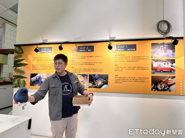 ▲▼「野灣野生動物保育協會」是東部唯一的野生動物救傷單位。（圖／記者林育綾攝）