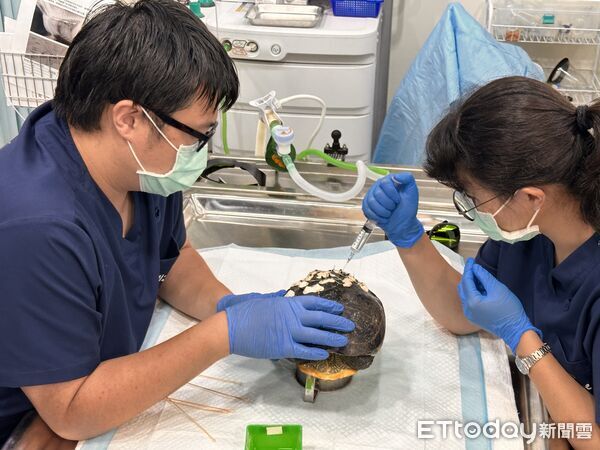 ▲▼「野灣野生動物保育協會」是東部唯一的野生動物救傷單位。（圖／記者林育綾攝）