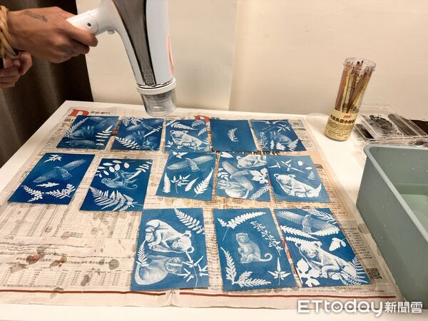 ▲▼「野灣野生動物保育協會」是東部唯一的野生動物救傷單位。（圖／記者林育綾攝）