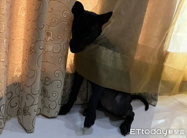 ▲。（圖／Threads@yu_hua1102提供，請勿隨意翻拍，以免侵權。）