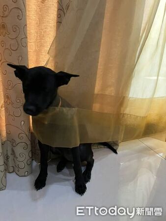 ▲。（圖／Threads@yu_hua1102提供，請勿隨意翻拍，以免侵權。）