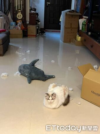 ▲。（圖／Threads@yu_hua1102提供，請勿隨意翻拍，以免侵權。）