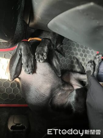 ▲。（圖／Threads@yu_hua1102提供，請勿隨意翻拍，以免侵權。）