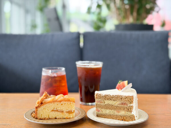 ▲▼林口網美咖啡廳「WALK IN林口檔案館店」坐擁國家檔案館美景，品味質感甜點的藝文新地標。（圖／部落客VIVIYU提供）