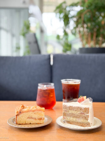 ▲▼林口網美咖啡廳「WALK IN林口檔案館店」坐擁國家檔案館美景，品味質感甜點的藝文新地標。（圖／部落客VIVIYU提供）