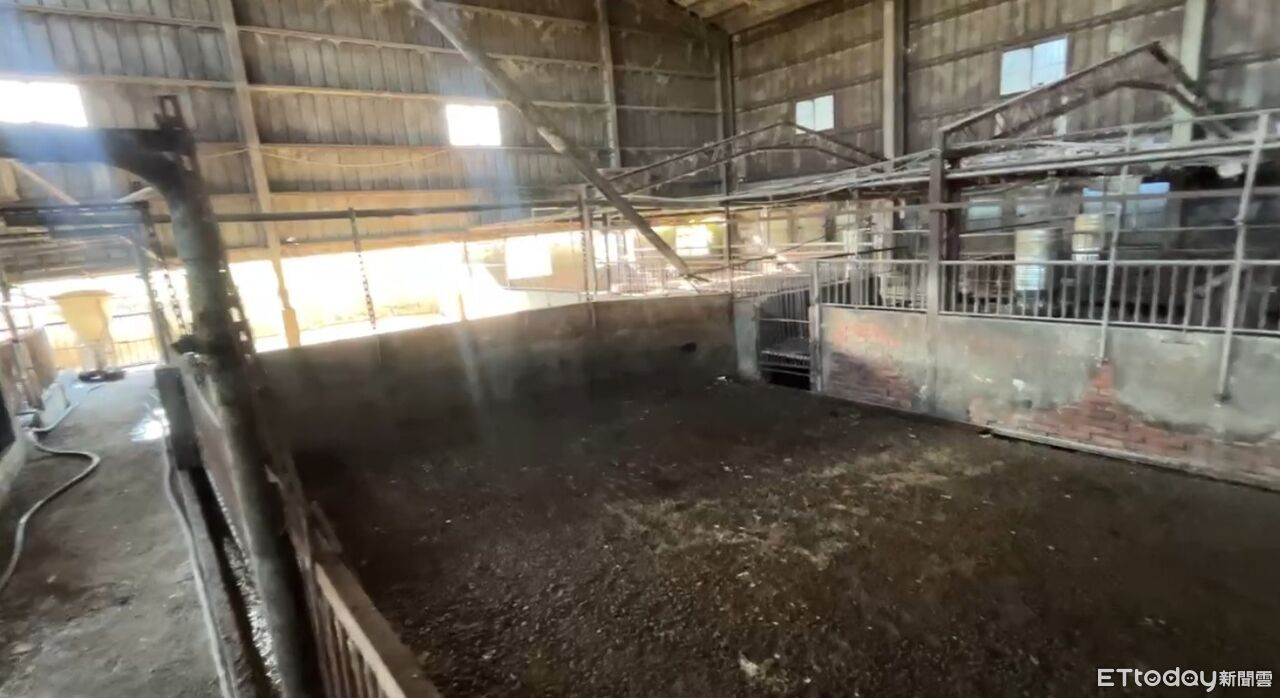 快訊/豬瘟疑雲!中市府深夜回應中央6質疑「9月未獲異常警示」