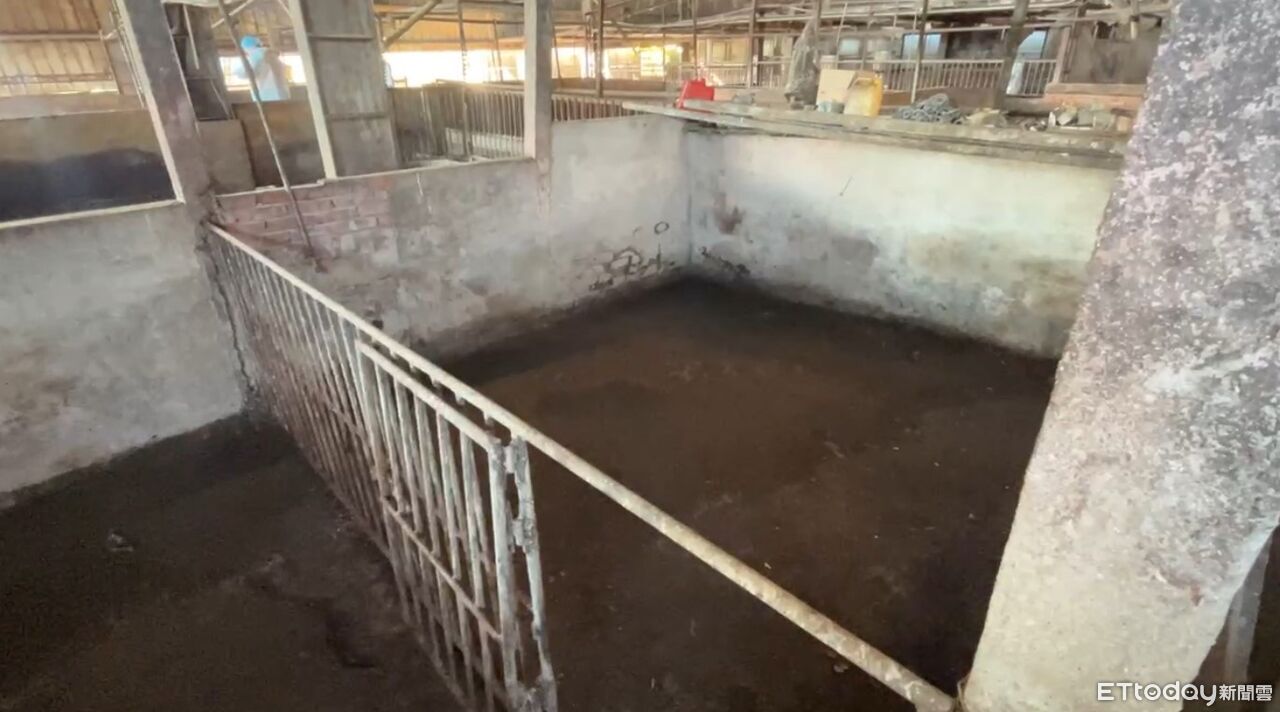 非洲豬瘟死亡豬隻化製單疑塗改!台中地檢署調查中