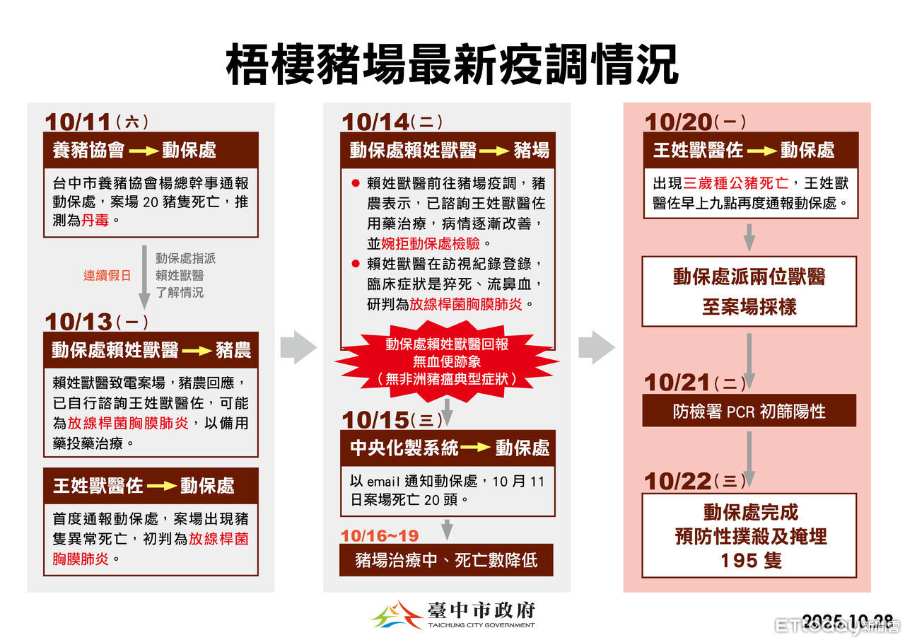 台中市政府公布豬瘟12天時間軸 10/20公種豬死亡是關鍵
