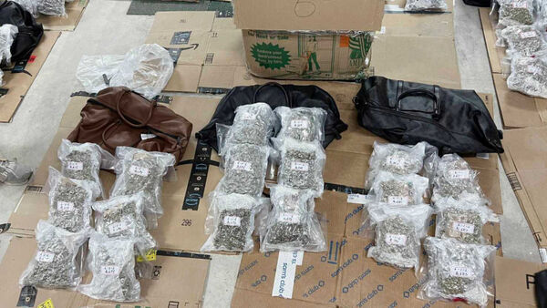 警方在王皓莆等人於內湖倉庫某據點內，查獲大量精品包包內的大麻。（圖／翻攝畫面）