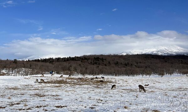 ▲▼北海道知床半島。（圖／部落客CJ夫人授權提供）