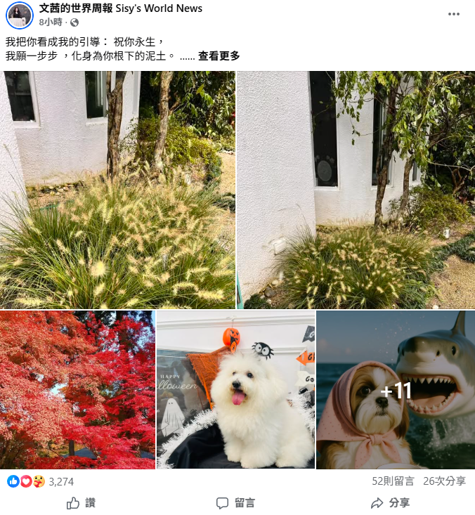 ▲陳文茜坦言，好像痛苦了一年⋯⋯。（圖／翻攝自Facebook／陳文茜）