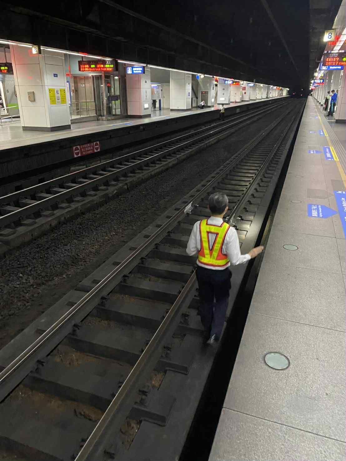 ▲15歲老貓籠內竄出消失在鐵軌盡頭　台鐵松車幫誘捕：至今不見蹤跡。（圖／網友蕭小姐提供，請勿隨意翻拍，以免侵權。）