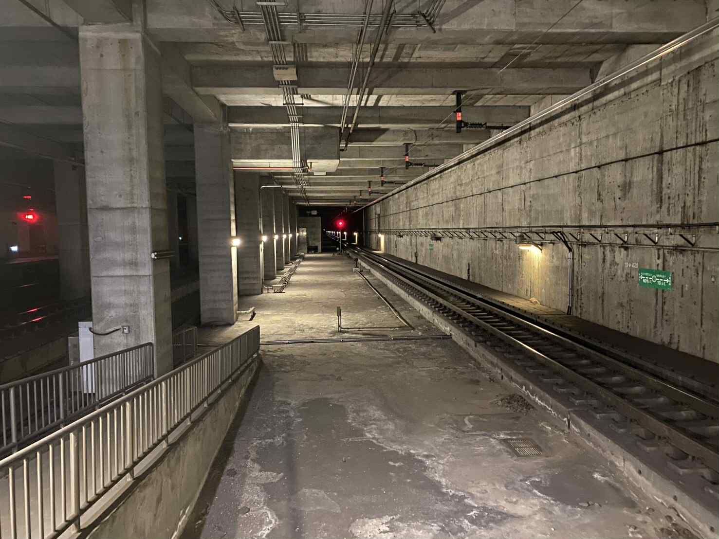 ▲15歲老貓籠內竄出消失在鐵軌盡頭　台鐵松車幫誘捕：至今不見蹤跡。（圖／網友蕭小姐提供，請勿隨意翻拍，以免侵權。）