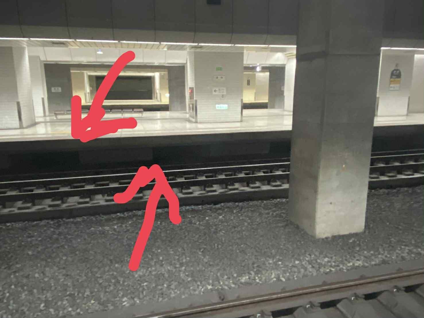 ▲15歲老貓籠內竄出消失在鐵軌盡頭　台鐵松車幫誘捕：至今不見蹤跡。（圖／網友蕭小姐提供，請勿隨意翻拍，以免侵權。）