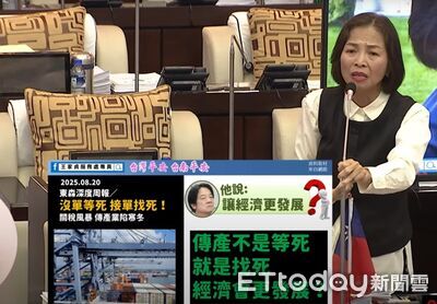 王家貞痛批賴清德光電弊案連連、環境破壞嚴重　有臉喊清廉愛鄉土？