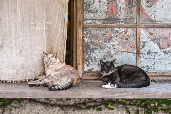 ▲▼Caffe Fiore珈琲花。（圖／部落客周花花授權提供）