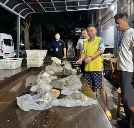 ▲▼直播「賭石」狂花1200萬元　陸女收「翡翠」後傻眼：全假貨！。（圖／翻攝微博）