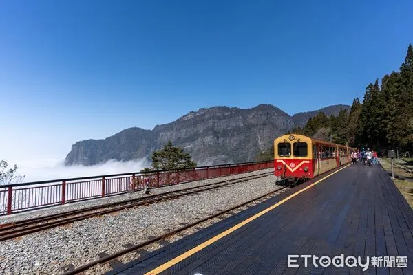 ▲▼    天涼好個秋！阿里山季節限定蒸機賞楓列車 11月18日開放訂票天氣逐漸轉涼，來山上走走跟秋賞個楓，百年蒸汽火車當嚮導，阿里山賞楓季即將展開！  。（圖／阿里山林鐵提供）