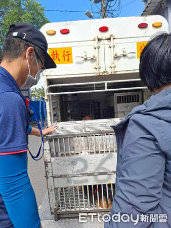 ▲桃園男疑似被羈押　再度收養11隻狗無人照顧只能「睡在排泄物旁」。（圖／愛媽于菁提供，請勿隨意翻拍，以免侵權。）