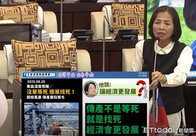 王家貞痛批賴清德光電弊案連連、環境破壞嚴重 有臉喊清廉愛鄉土?