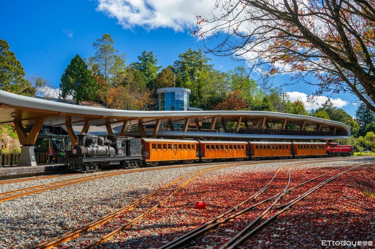 感受雲海魅力!阿里山「楓度翩翩」主題列車啟程 | ETtoday地方新聞 | ETtoday新聞雲